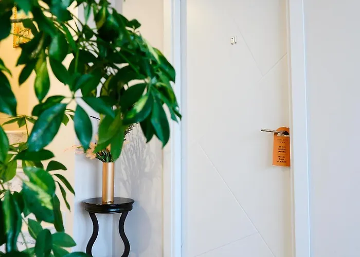 Royal 크라이오바